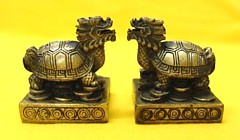 A Pair of Mini Dragon Tortoise