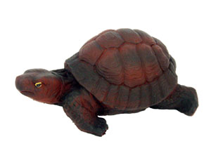 Auspicious Tortoise for Longevity