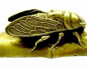 Cicada for Protection and Immortality